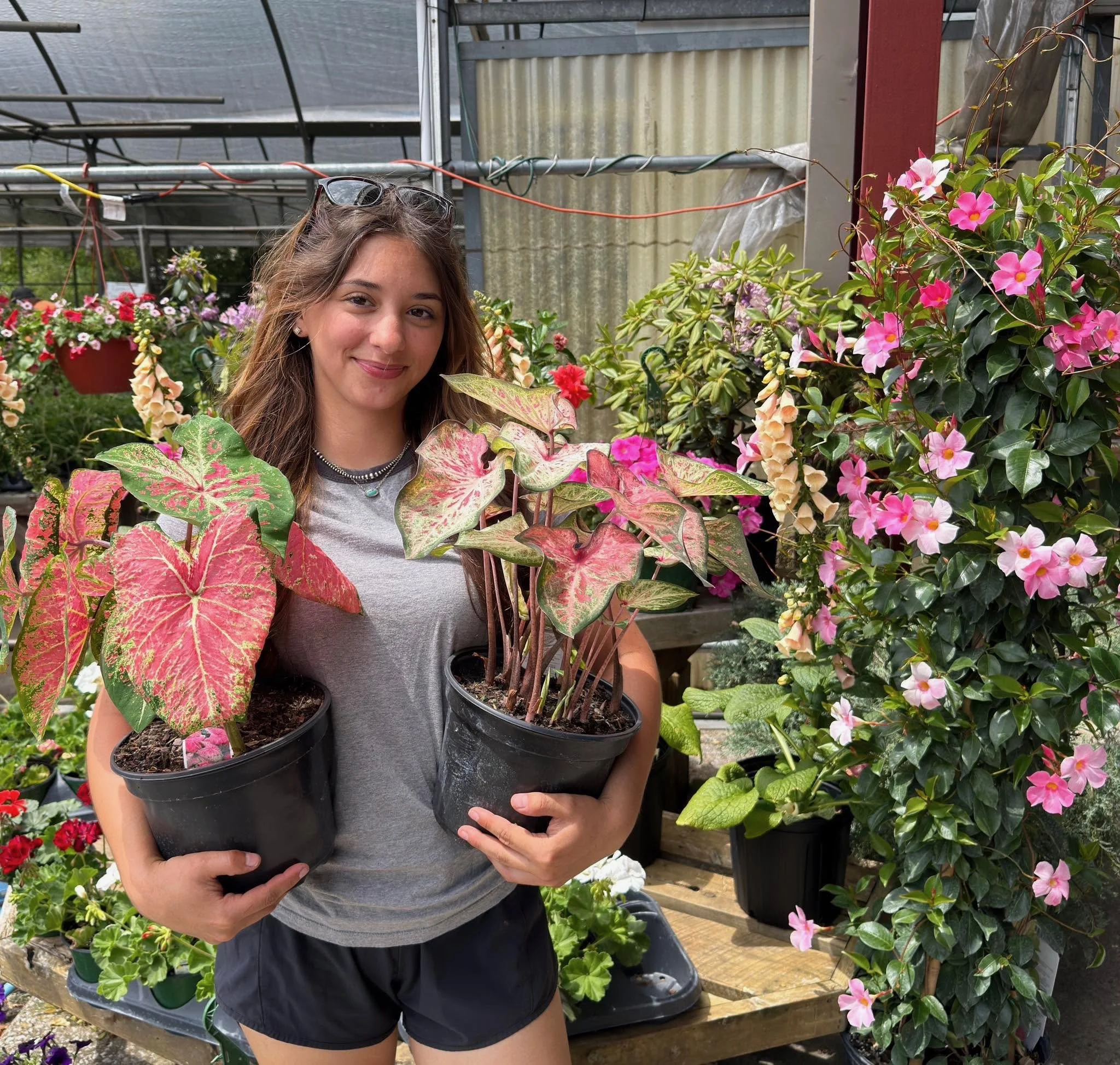 Valley Growers plants