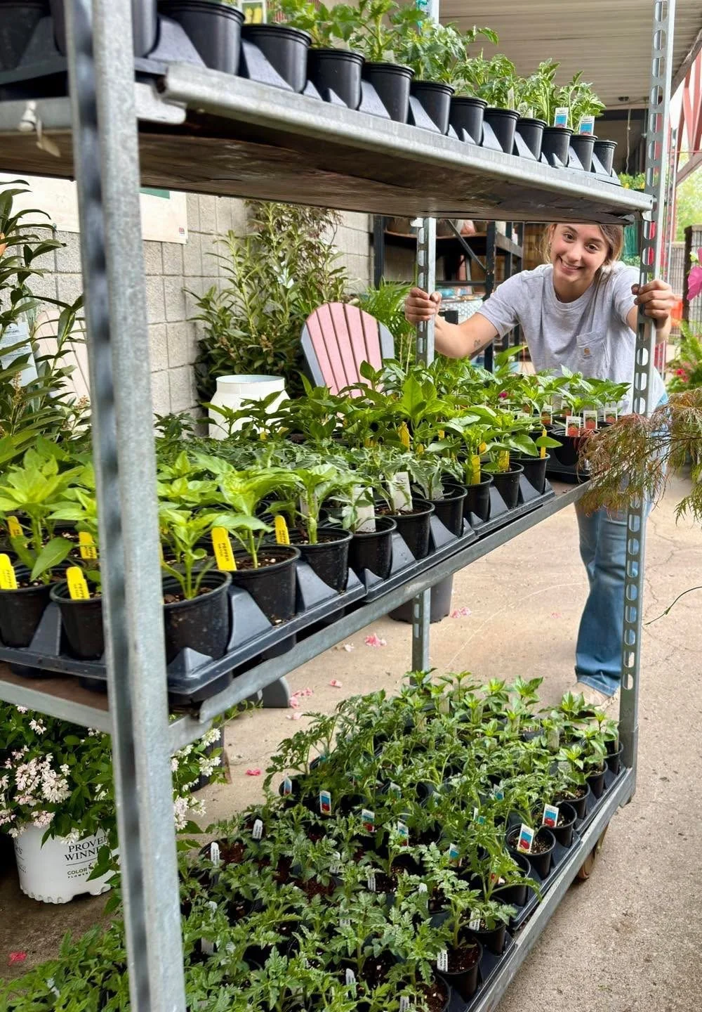 Valley Growers plants