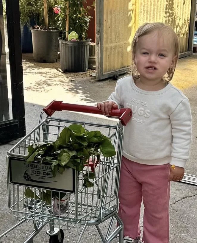 Valley Growers plants