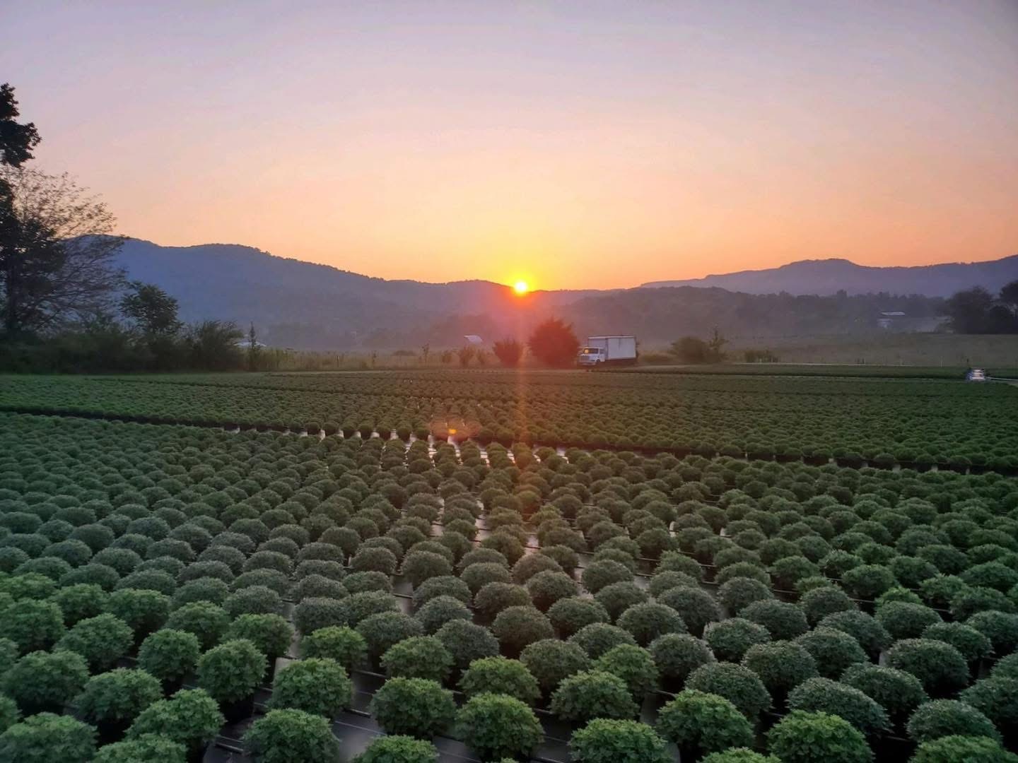 Three generations of the family behind Valley Growers.